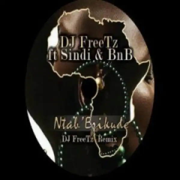 DJ Freetz - Ntab Ezikude Ft. Sindi & BNB
